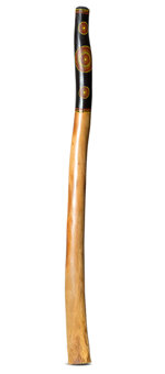 Jesse Lethbridge Didgeridoo (JL262)